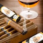 EL_REAL rendu bar + bouteille + logo